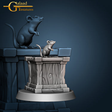Gypsum the Rat
